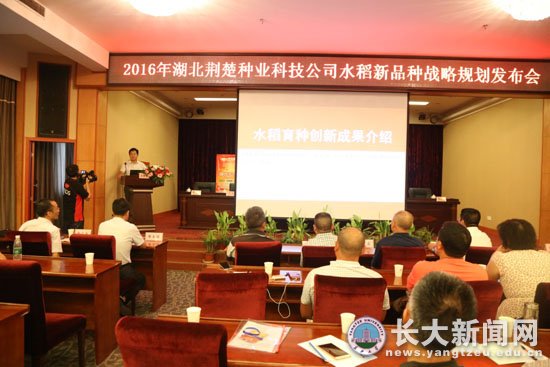 主要粮食作物产业化湖北省协同创新中心举办水稻新品种观摩会